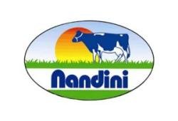 Nandini